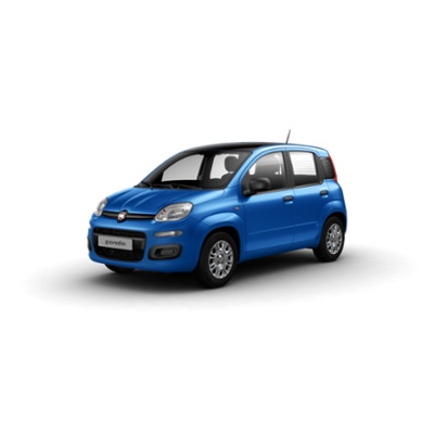panda azzurra